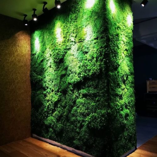 IMG_20241208_141133_700